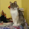 Отзыв от Анастасия Барсукова